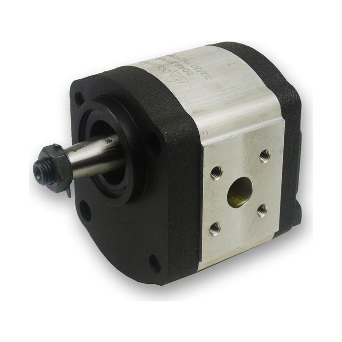 Group 2 Pump German Standard 2-Bolt IHC Mount - 1:5 Taper Shaft