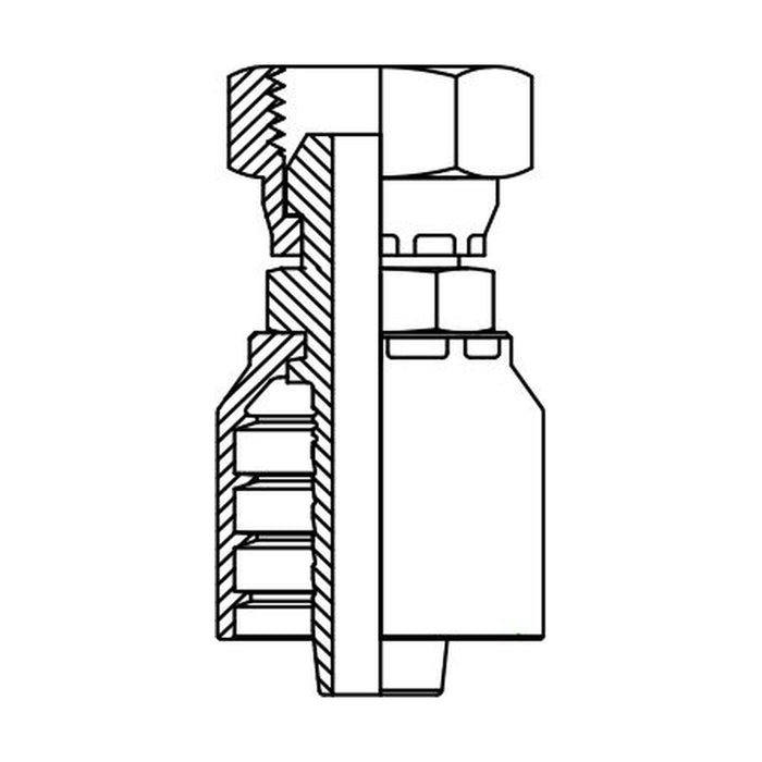 Hose Tail One Piece BSP Swivel Female Straight