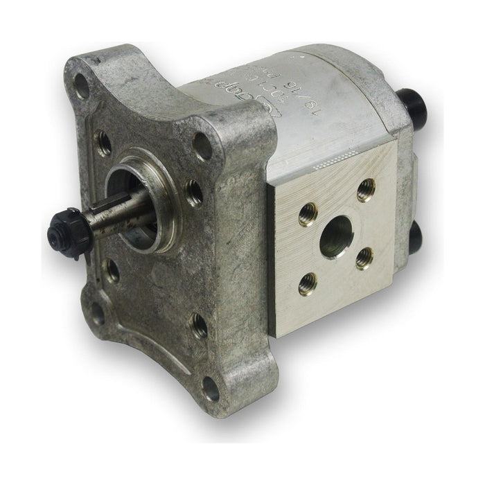 Group 1 Pump European Standard 4-Bolt Mount - Flange - 1:8 Taper Shaft