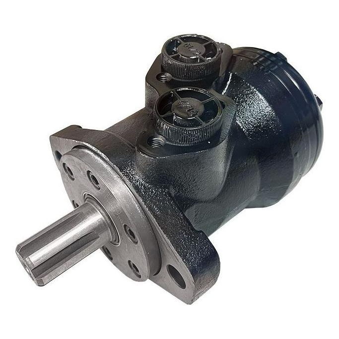 BMR Series Geroler Motor