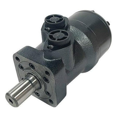 BMR Series Geroler Motor