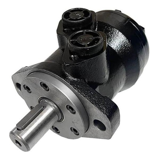 BMR Series Geroler Motor
