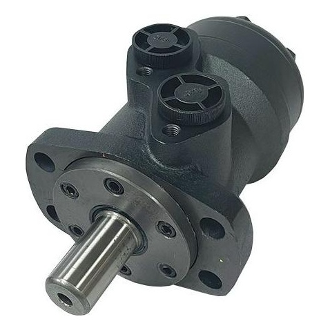 BMR Series Geroler Motor