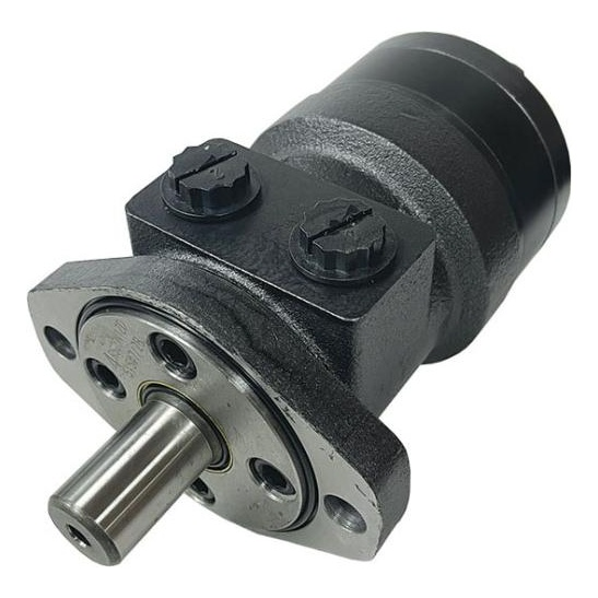 BMRS Series Geroler Motor