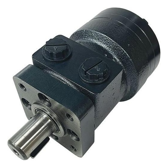 BMRS Series Geroler Motor