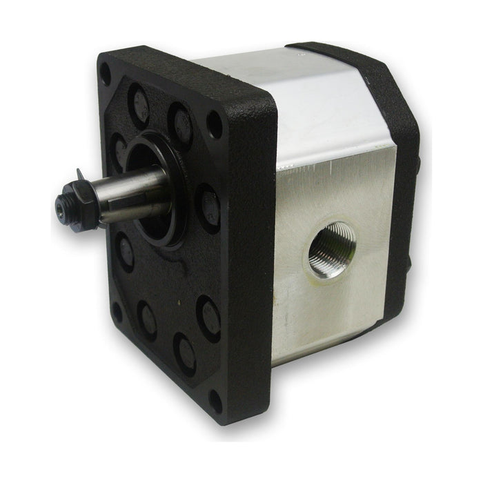 Group 3 Pump European Standard 4-Bolt Mount - BSPP - 1:8 Taper Shaft