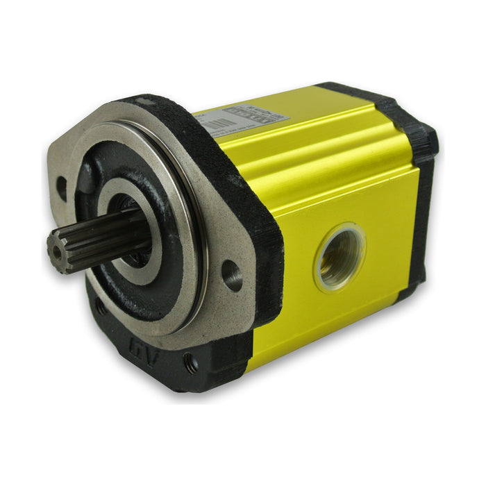 Group 2 Pump SAE A Mount - 10T Shaft - Cast Iron End Plates